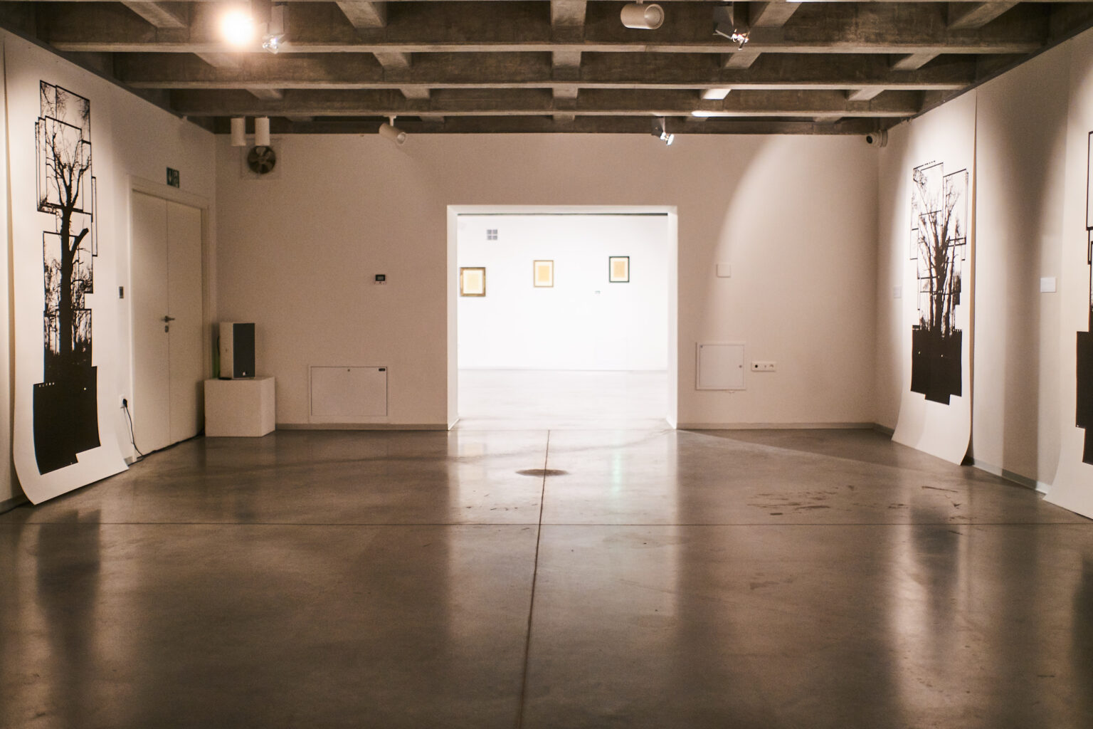 Sala w galerii sztuki. Na ścianach wiszą duże wydruki z wizerunkami drzew.