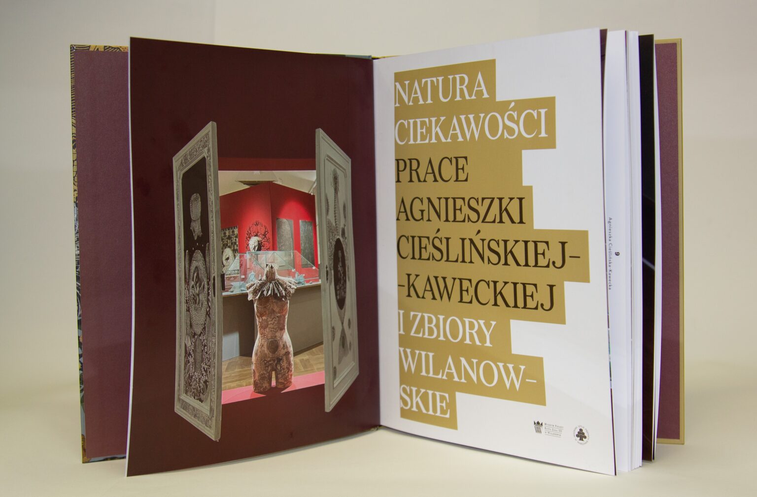 zdjęcie stojącej, otwartej książki